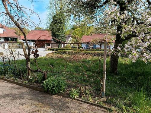Foto - 5 Zimmer Einfamilienhaus zur Miete in Schierling