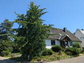 Foto - Haus mit Ginkgo - 598.000,00&nbsp;EUR Kaufpreis, ca.&nbsp; 188,00&nbsp;m&sup2;