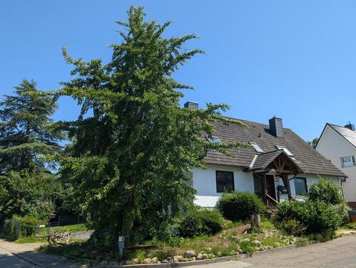 Foto - Haus mit Ginkgo - 598.000,00&nbsp;EUR Kaufpreis, ca.&nbsp; 188,00&nbsp;m&sup2;