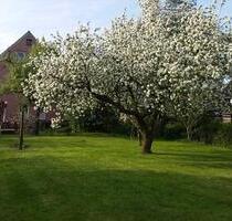 Sonnige Mietwohnung in Küstennähe - Wurster Nordseeküste