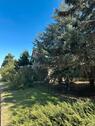 Foto - Einfamilienhaus in Droyßig zum Kaufen