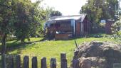 Foto - Garten zu verpachten, Plauen - 39,00 EUR Kaltmiete, ca.  0,00 m²