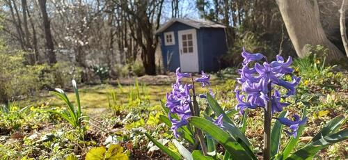 Foto - Bungalow in Reinbek zum Kaufen