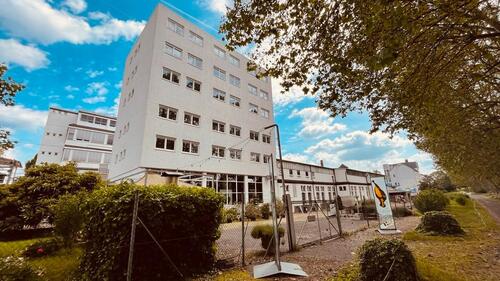 Foto - 240 m2 Büro direkt am Rhein - 1.920,00 EUR Kaltmiete,