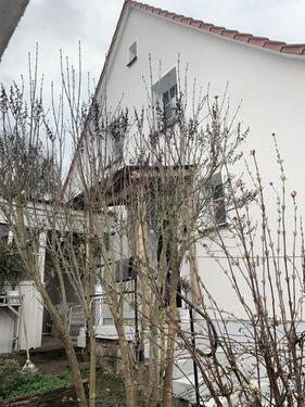 Foto - Kleines Häuschen in Waldnähe mit Garten und Garage-ohne Provision