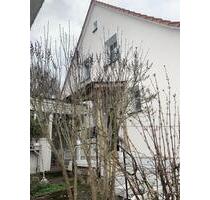 Kleines Häuschen in Waldnähe mit Garten und Garage-ohne Provision - Reichenberg