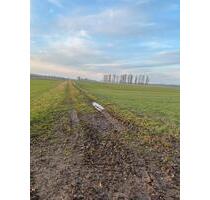 Hückelhoven Brachelen Wiese Tenholt 3080qm