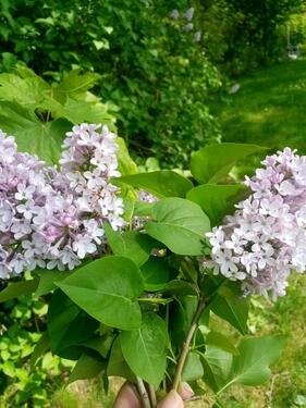 Foto - PKW Stellplatz zu vermieten - 35,00 EUR Miete,