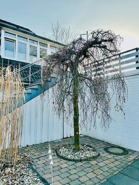 Foto - 87 m² Maisonette+ 25 m² XXL-Dachterrasse,2 Bäder,Klima,Stellplatz