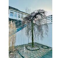 87 m² Maisonette+ 25 m² XXL-Dachterrasse,2 Bäder,Klima,Stellplatz - Isernhagen