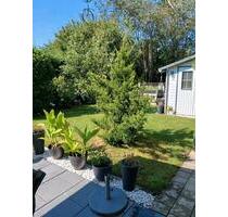 Moderne 2-Zimmer Wohnung mit Garten, Garage & Stellplatz - Burgkirchen an der Alz