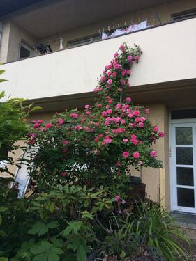 Foto - Einfamilienhaus mit Einliegerwohnung