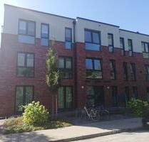 Helle EG-Mietwohnung 2-ZKB, Terrasse, 54,44 qm Beckum Neubau 2023