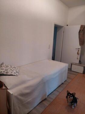 Foto - andere in Dresden