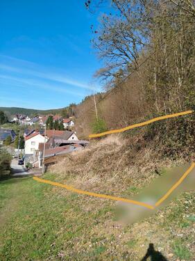 Foto - Einfamilienhaus in Queidersbach zum Kaufen