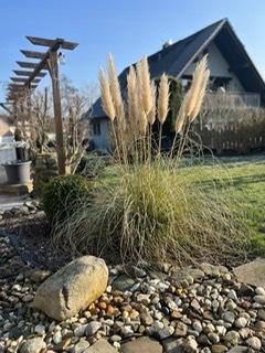 Foto - 4 Zimmer Bungalow zum Kaufen in Bad Gandersheim