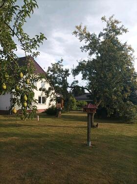 Foto - Einfamilienhaus in Malchow zum Kaufen