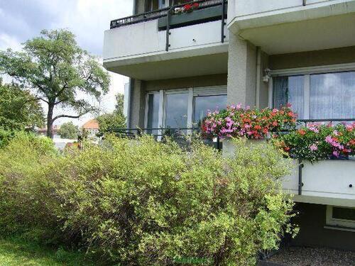 Foto - Schöne Wohnung in gepflegter Wohnanlage – Berlin-Reinickendorf