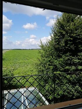 Foto - Wohnung 3,5 Zimmer DG Pattensen (Winsen) Hund, Katze erlaubt