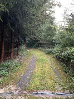 Foto - Kleines idyllisches Häuschen auf Waldgrundstück trotzdem stadtnah