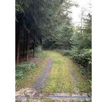 Kleines idyllisches Häuschen auf Waldgrundstück trotzdem stadtnah - Hardegsen