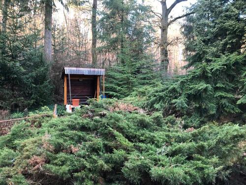 Foto - 4 Zimmer Einfamilienhaus in Hardegsen