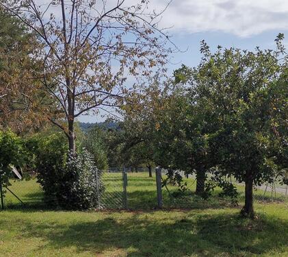 Foto - Garten-, Freizeitgrundstück idyllisch gelegen zu verpachten
