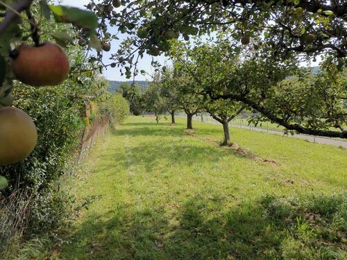 Foto - Grundst&uuml;ck zur Miete in Kämpfelbach