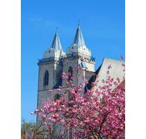 Schönebeck Monteurwohnung, Ferienwohnung, Zimmer, Hotel, Pension - Schönebeck (Elbe)