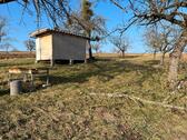 Foto - Verpachte Gartengrundstück mit Hütte