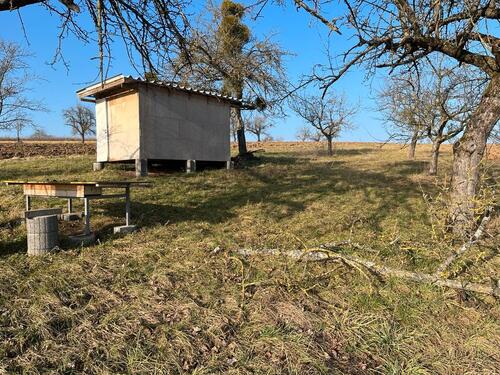 Foto - Verpachte Gartengrundstück mit Hütte