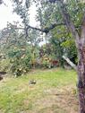 Foto - Kleingarten in Kreischa abzugeben