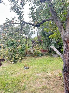 Foto - Kleingarten in Kreischa abzugeben