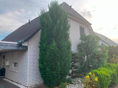 Foto - 6 Zimmer Einfamilienhaus zum Kaufen in Magdeburg