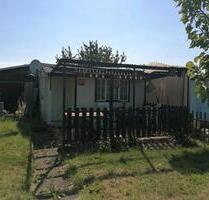 Kleingarten - 300,00 EUR Kaltmiete, ca.  0,00 m² in Dippoldiswalde (PLZ: 01744)
