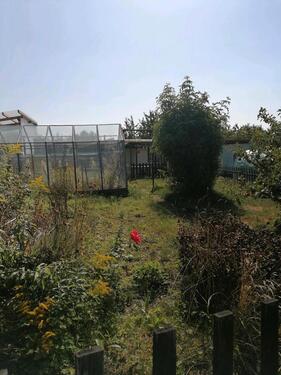 Foto - Grundstück zur Miete in Dippoldiswalde