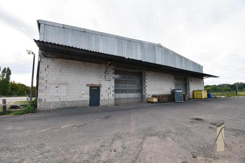 Foto - Großzügige Gewerbehalle mit ca.1.900 m² Nutzfläche in Burg zur Vermietung