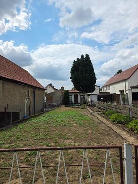 Foto - Einfamilienhaus zum Kaufen in Lützen