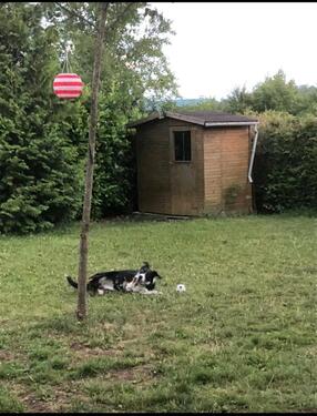 Foto - Grundst&uuml;ck zur Miete in Tübingen