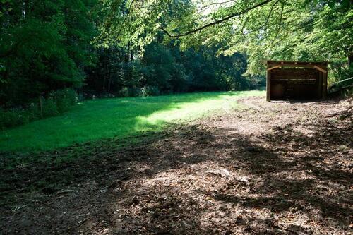 Foto - Pferdeweide Pferde Wiese Sommerweide 1-2 Hektar für Pferdehalter