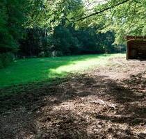 Pferdeweide Pferde Wiese Sommerweide 1-2 Hektar für Pferdehalter - Much