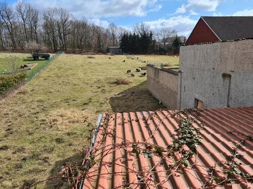 Foto - 12 Zimmer Einfamilienhaus zum Kaufen in Bad Belzig