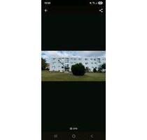 Wohnung zu vermieten ab 1.04 .2006 Stolzenau