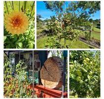 Kleingarten „Verbindungsweg“ - 4.600,00&nbsp;EUR Kaltmiete, ca.&nbsp; 0,00&nbsp;m&sup2; in Rostock (PLZ: 18146) Alt Bartelsdorf