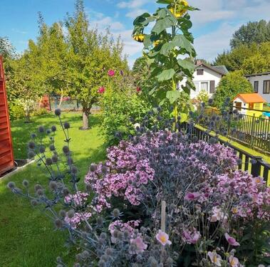 Foto - Grundst&uuml;ck zur Miete in Rostock