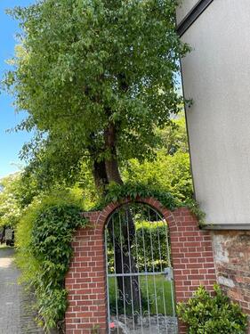 Foto - Mehrfamilienhaus, Wohnhaus in Schellerten zum Kaufen