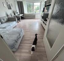 3 Zimmer Wohnung zum 01.10.25 - 800,00 EUR Kaltmiete, in Schleswig (PLZ: 24837)