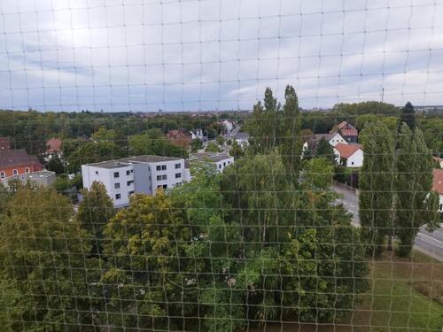 Foto - Etagenwohnung zur Miete in Braunschweig