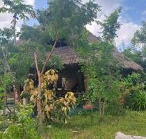 Paradiesgarten auf Sansibar - 500,00 EUR Kaltmiete, in Berlin (PLZ: 12103) Tempelhof-Schöneberg