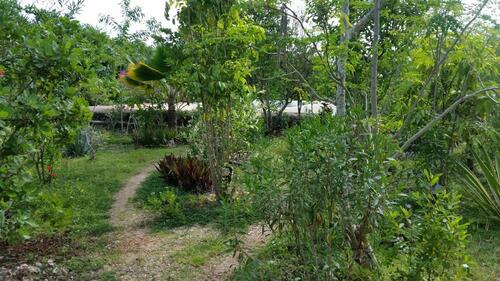 Foto - andere in Berlin zur Miete